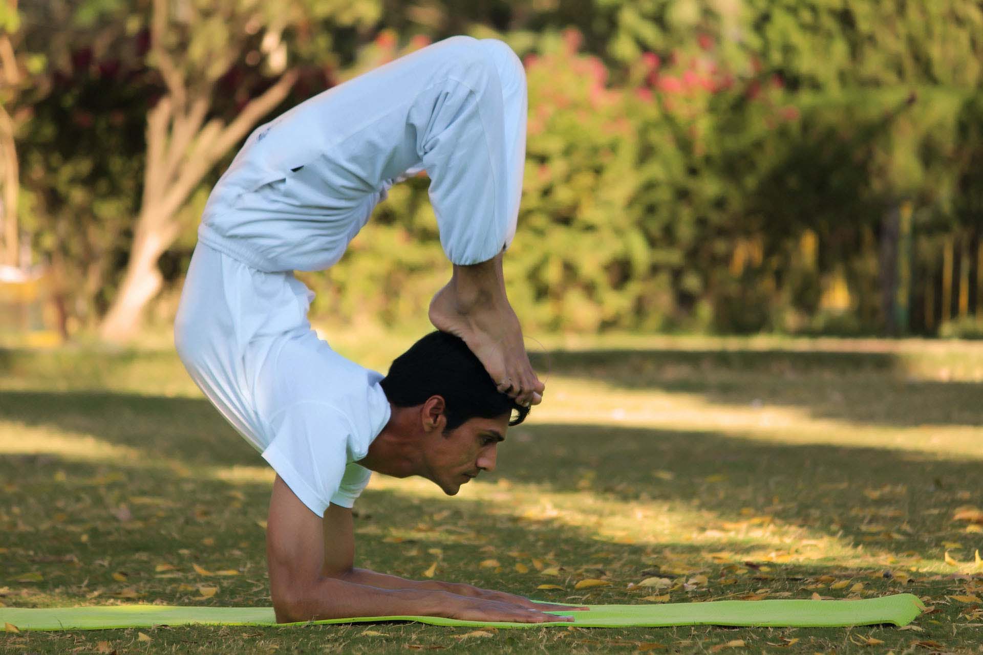Asana Lines: Premium Yoga Courses, Resources, and Community